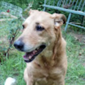 Meet your Posher, Dana